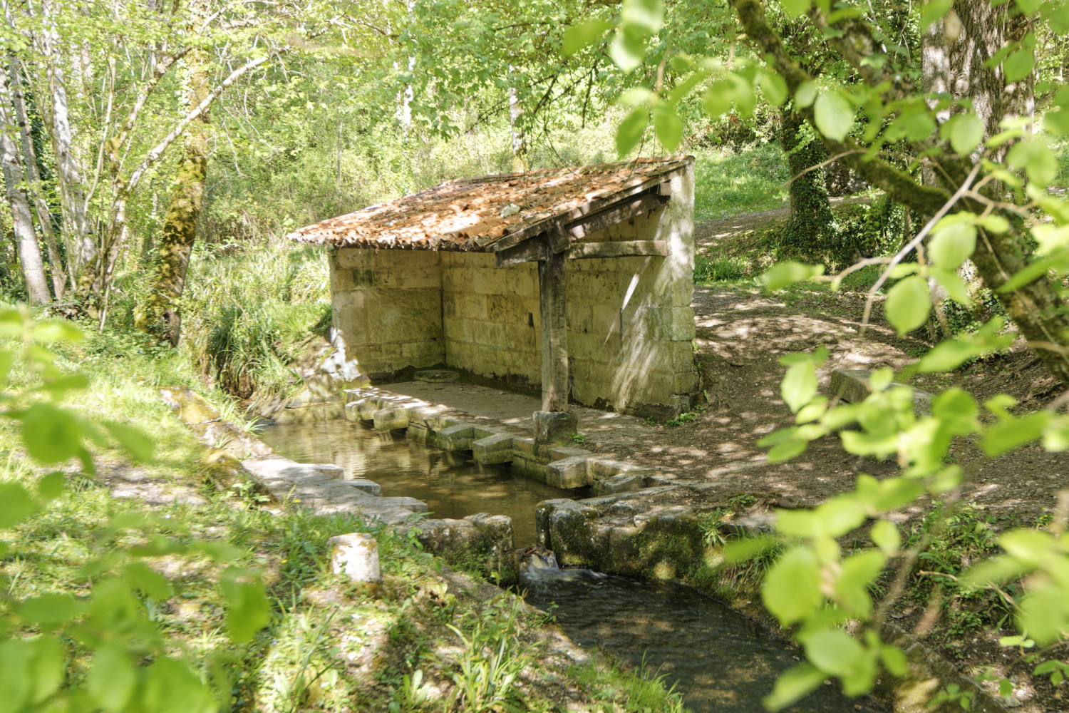 LAVOIR DE LA FONTMORILLON