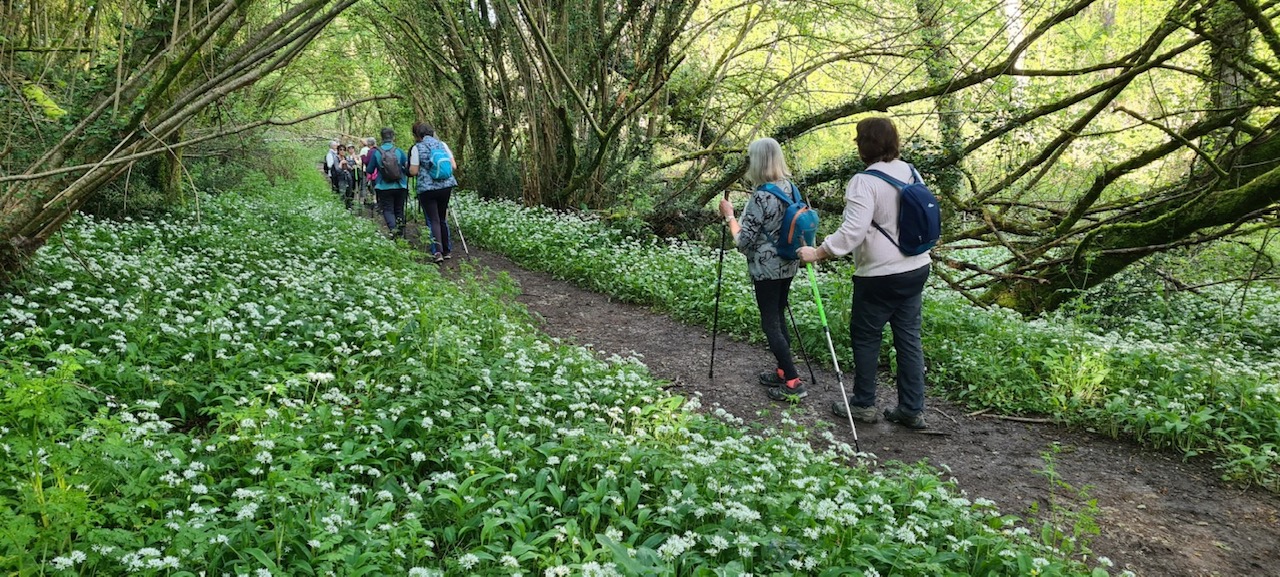 Randonnée du Brin d_aillet.jpg