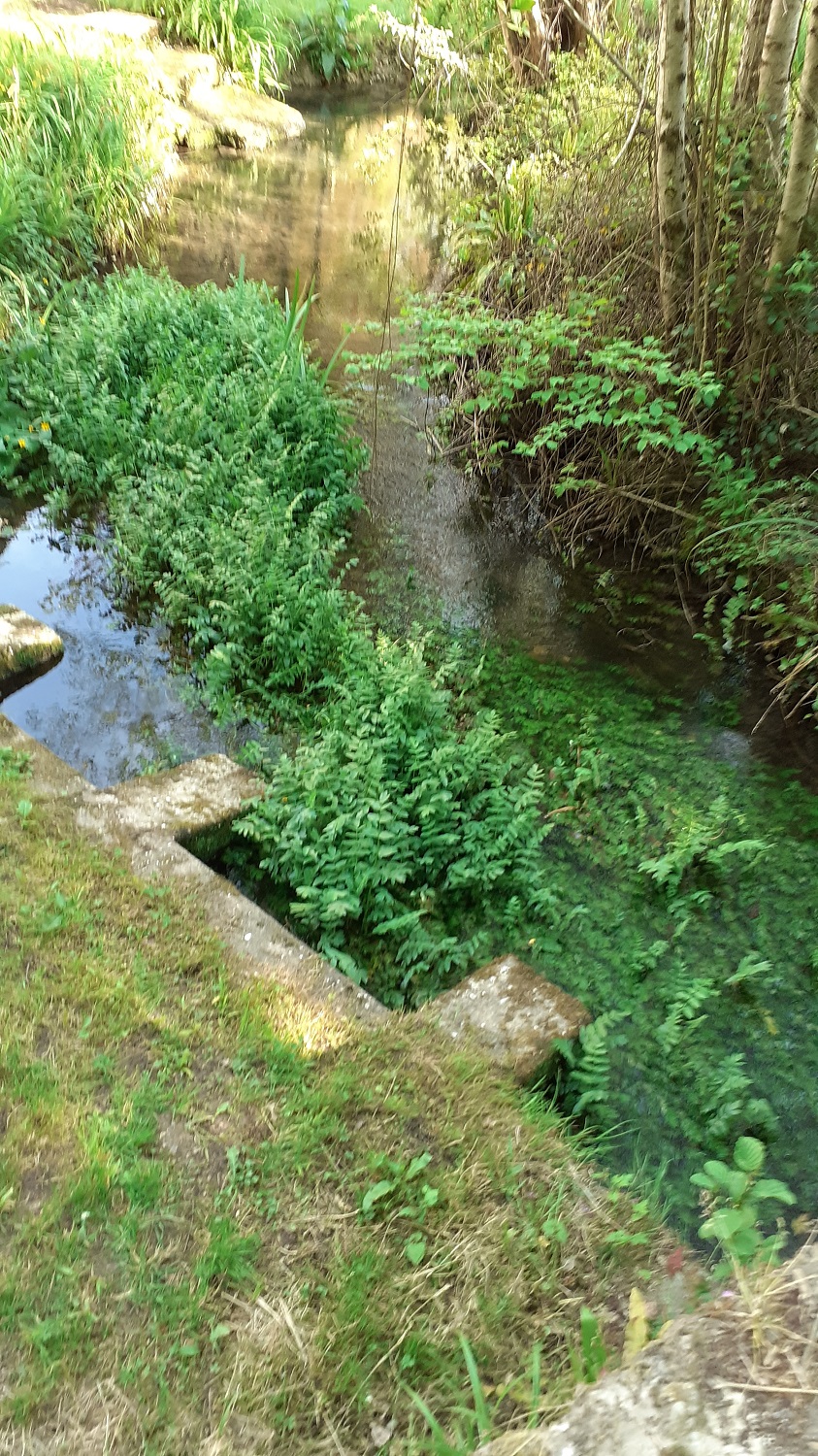 L_escambouille 5.jpg