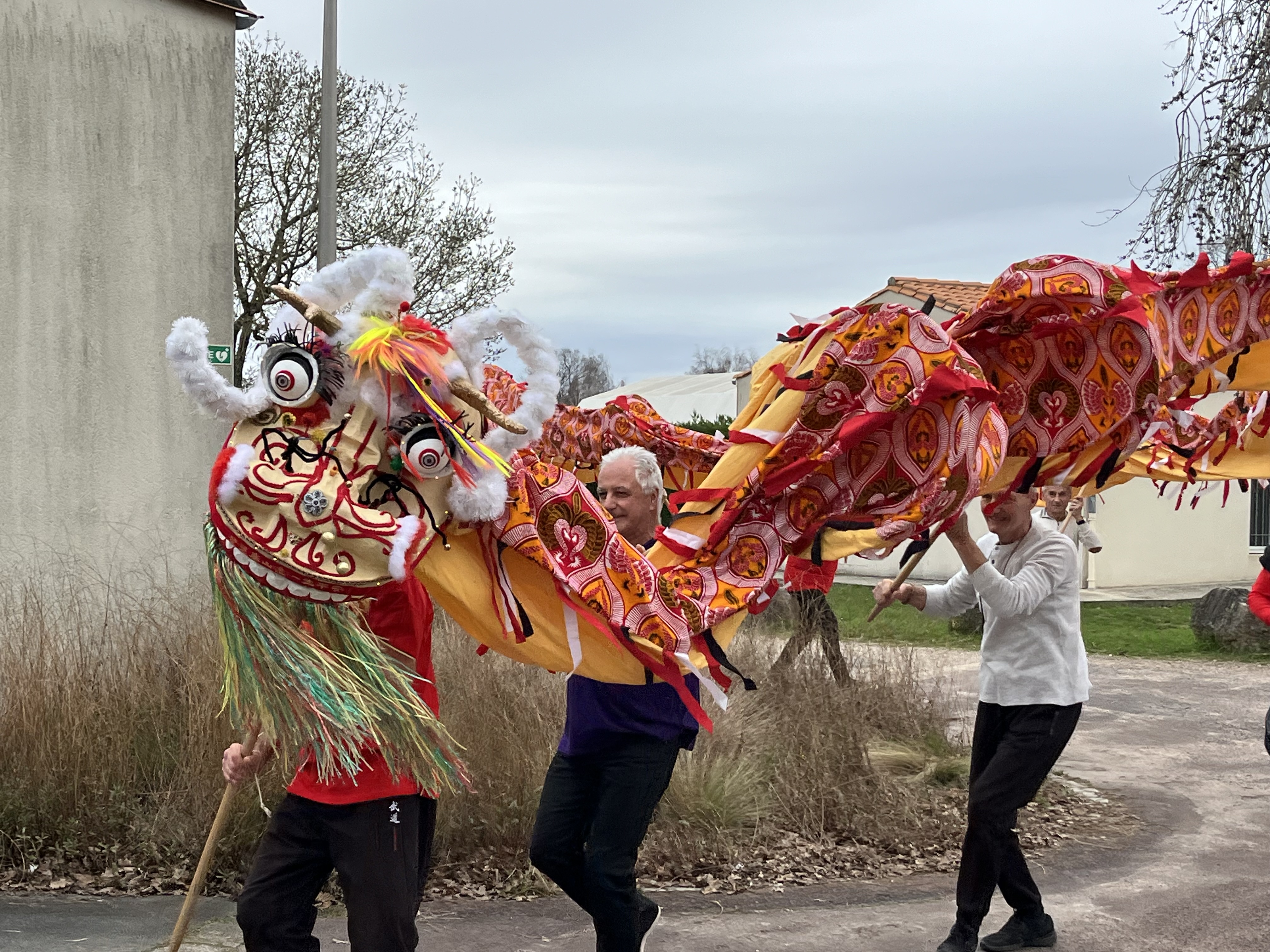 Nouvel an chinois 13.jpeg
