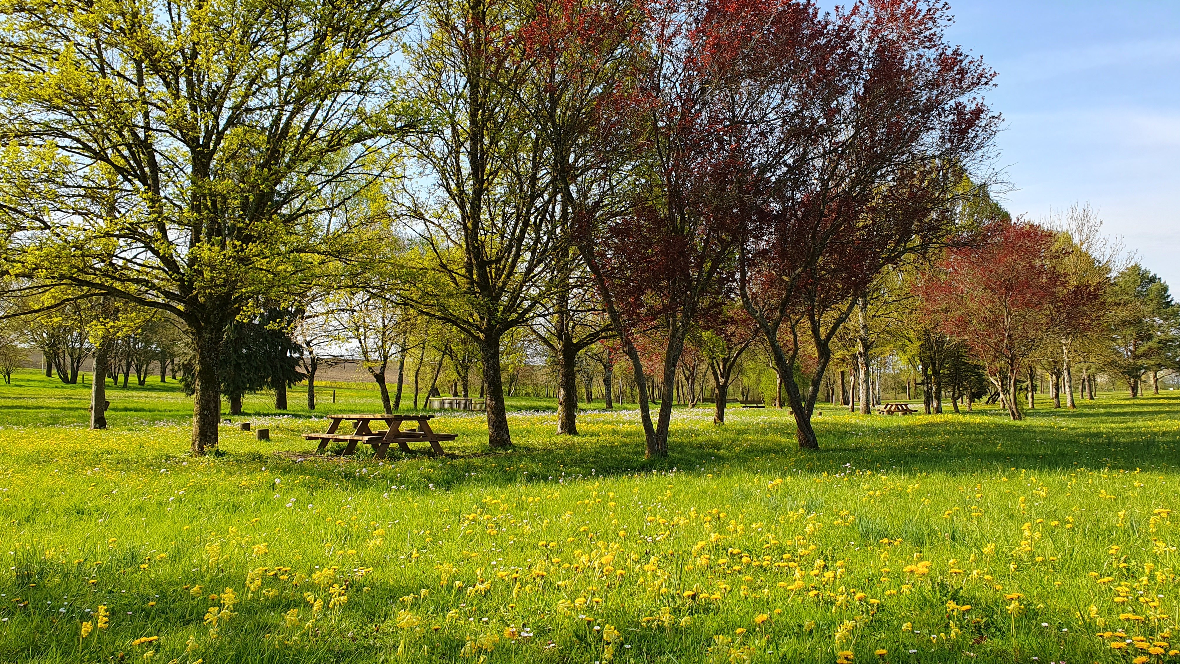 arboretum 22 avril 2023 _5_.jpg