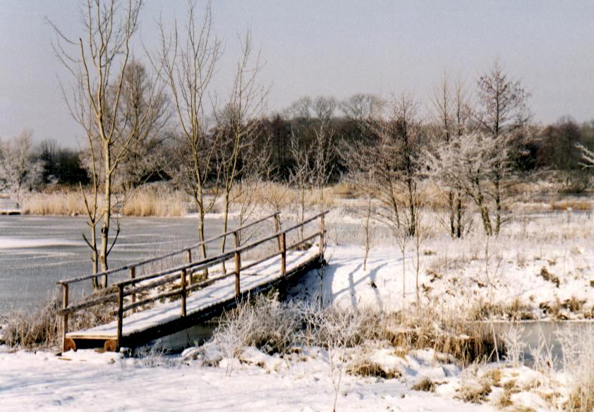 Paysage Etang 5_0002.JPG