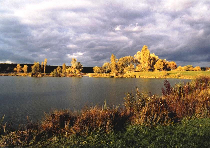 Paysage Etang 3_0001.JPG