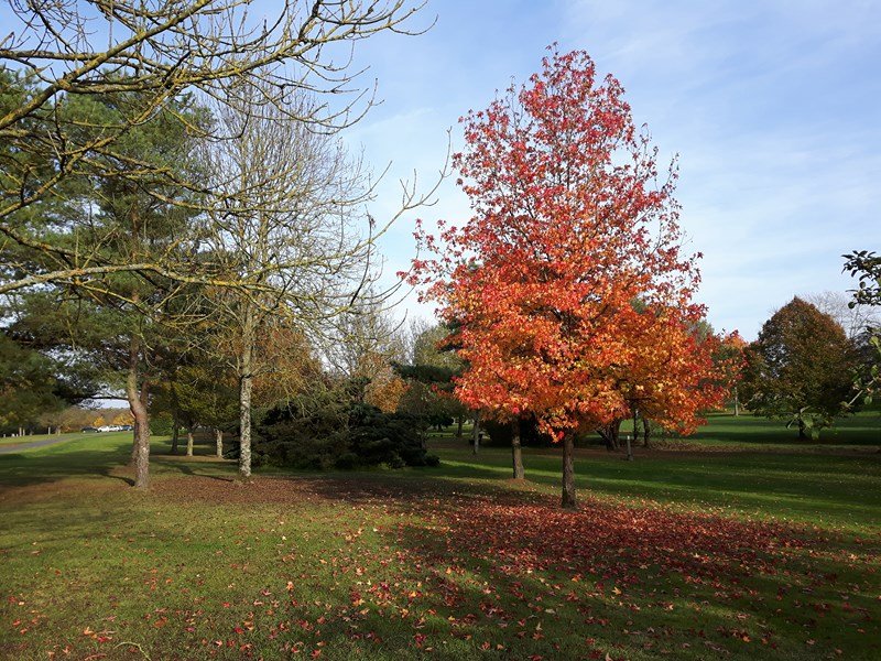 20161101_144500 _800x600_.jpg
