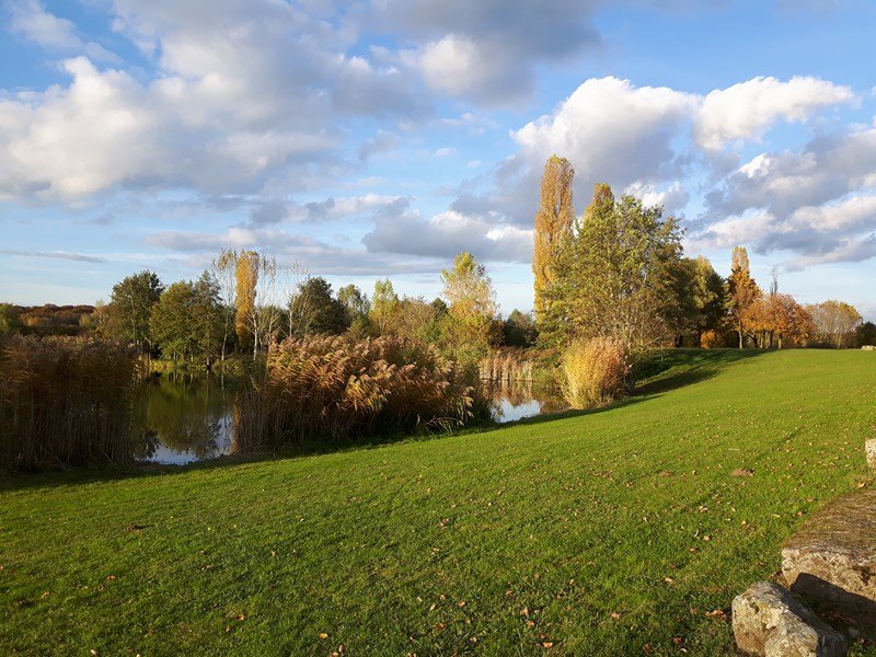 20161102_160844 _800x600_.jpg