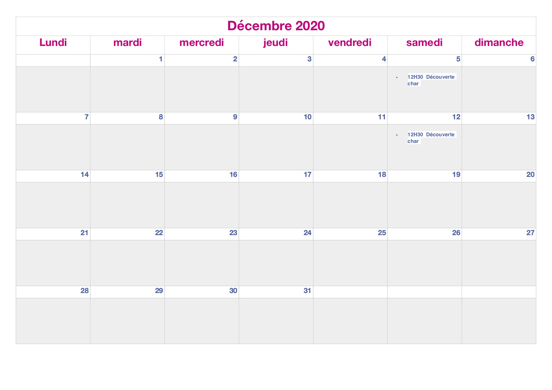 planing Décembre 2020.jpg