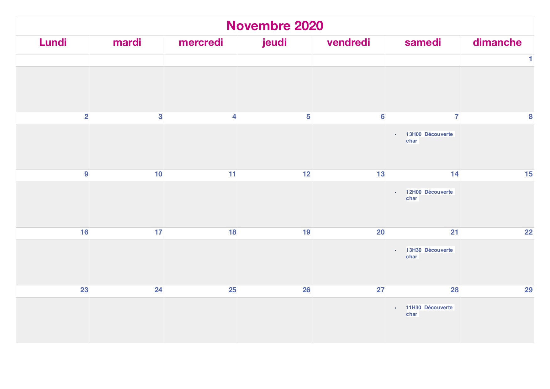 planing Novembre 2020.jpg