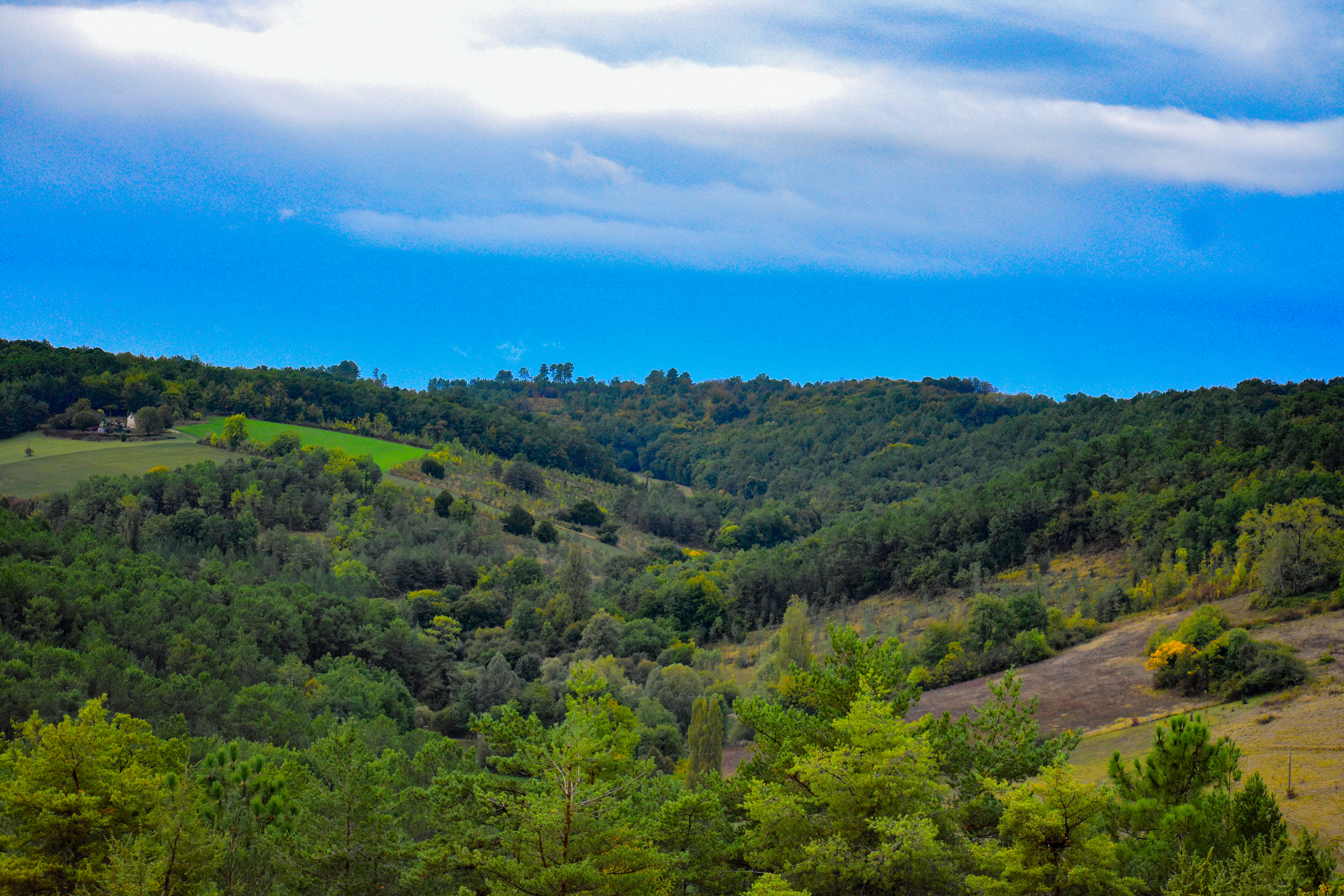 DSC_0452.jpg