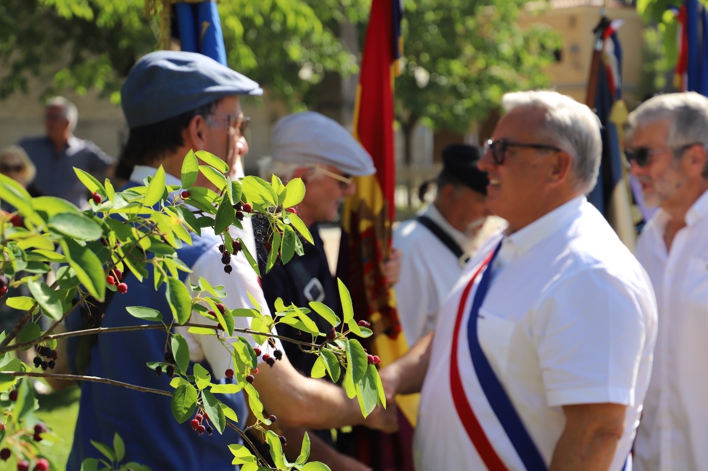 27 mai cer -5.jpg