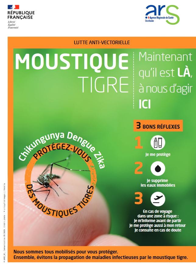 moustik.JPG