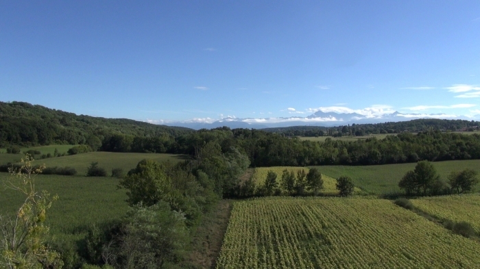 plaine-de-lousse 3.jpg