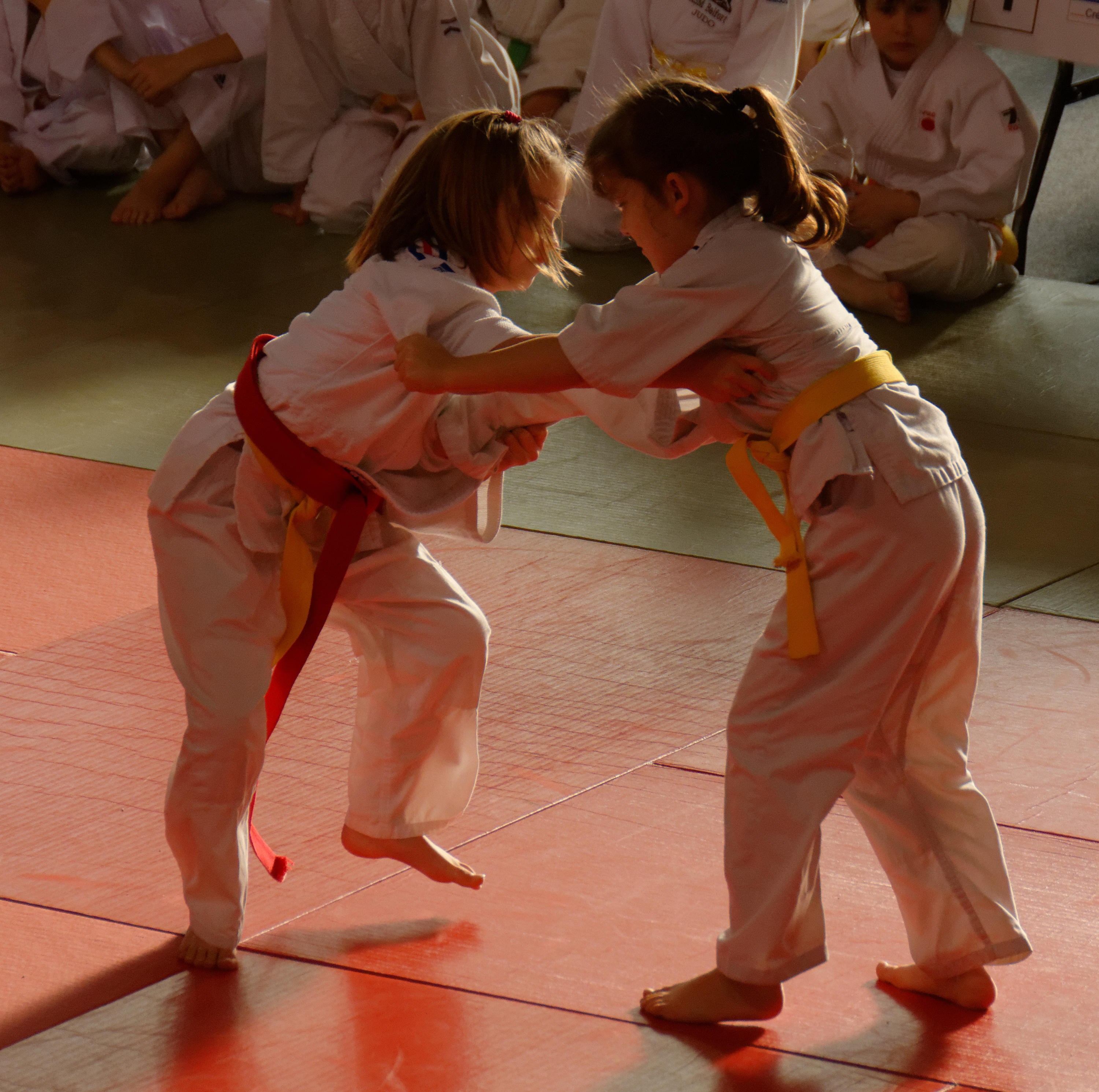 ASCA JUDO.jpg