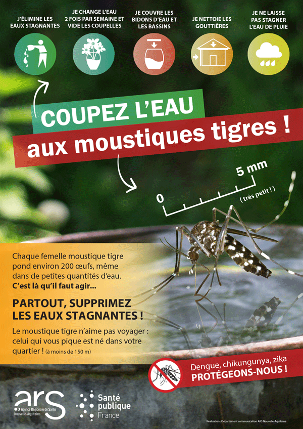 Moustique_tigre_2018_Niv_1_affiche_stop_moustiques.png