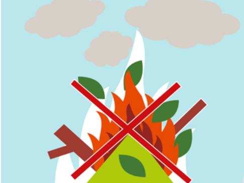 ecobuage 1.png