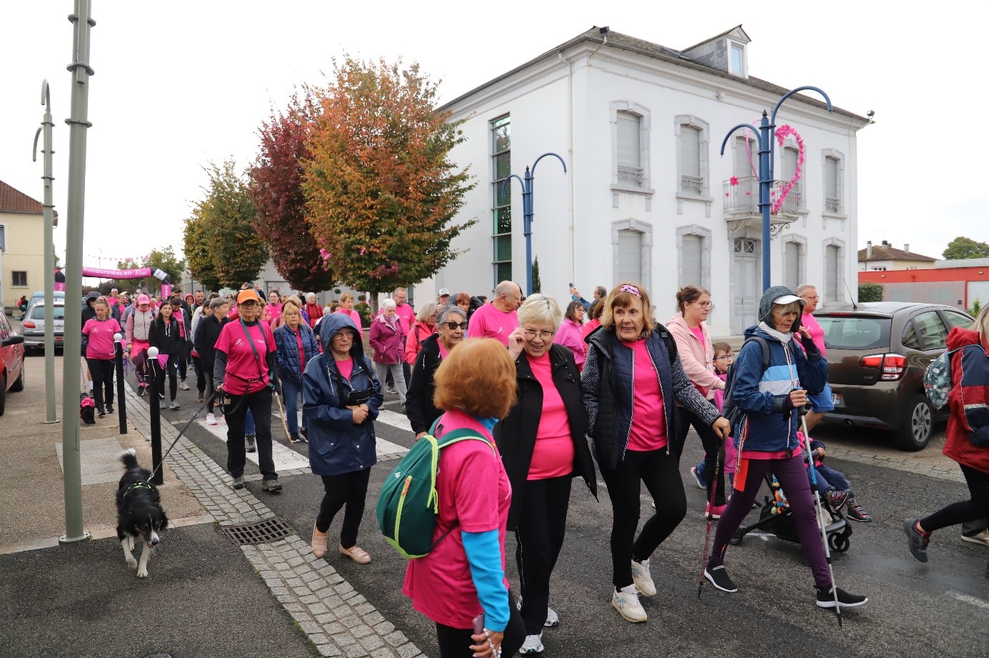 pink10.jpg