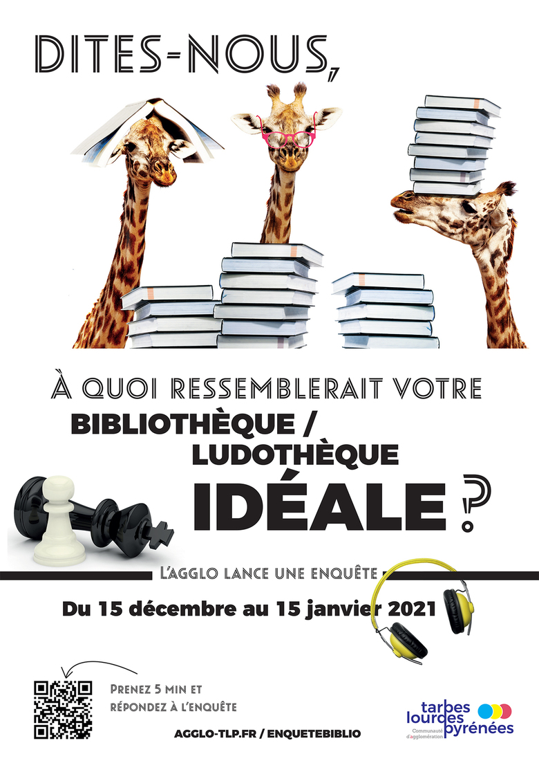 affiche-enquetebiblio-4.jpg
