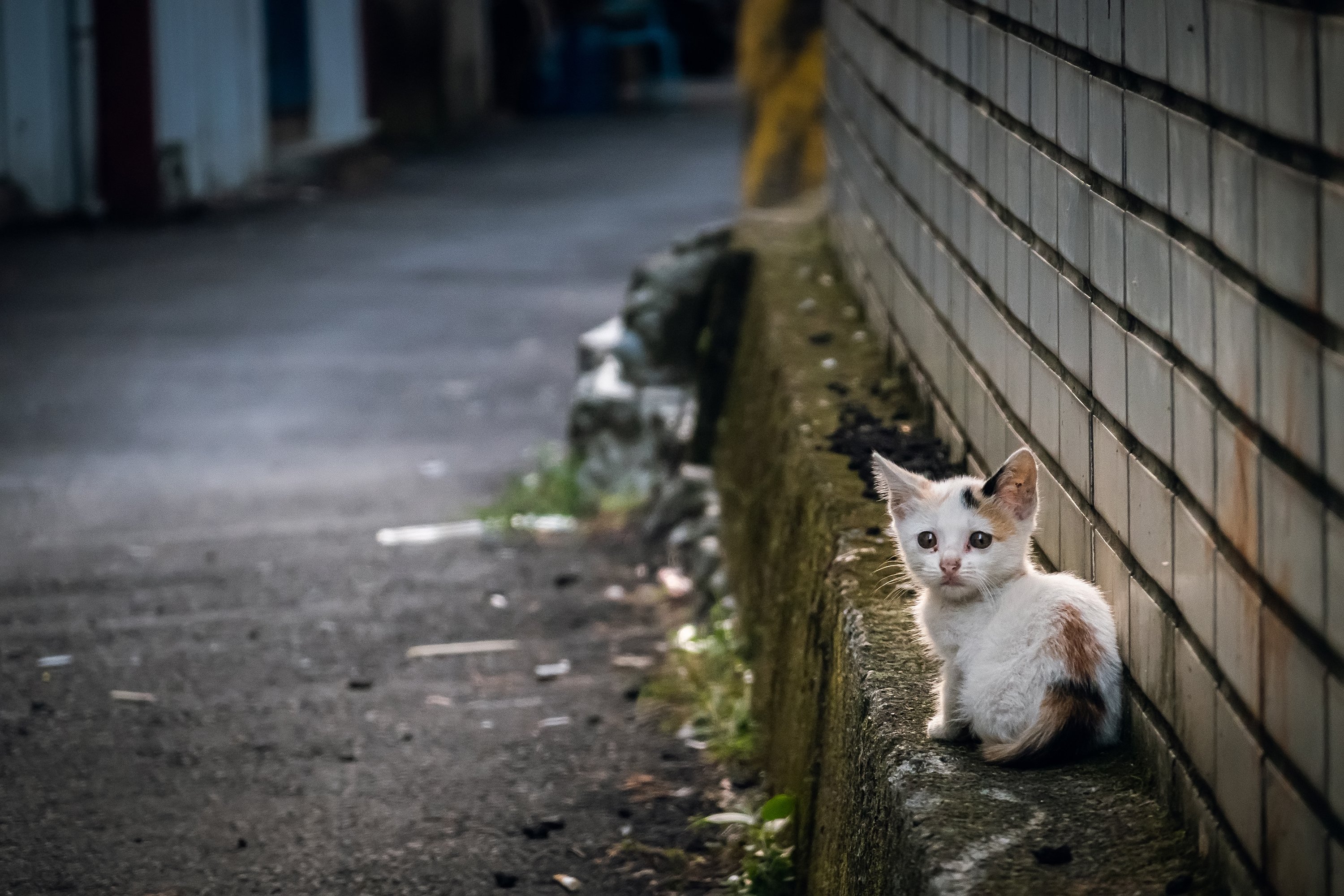 AdobeStock_311685036.jpeg