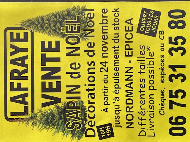 sapin lafraye 2025.jpg