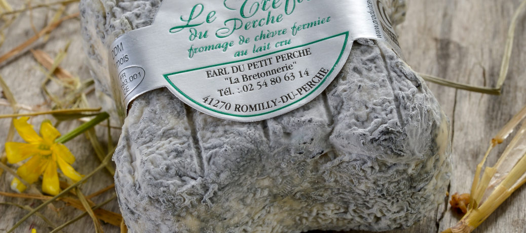 Trèfle-du-Perche-1038x460.jpg