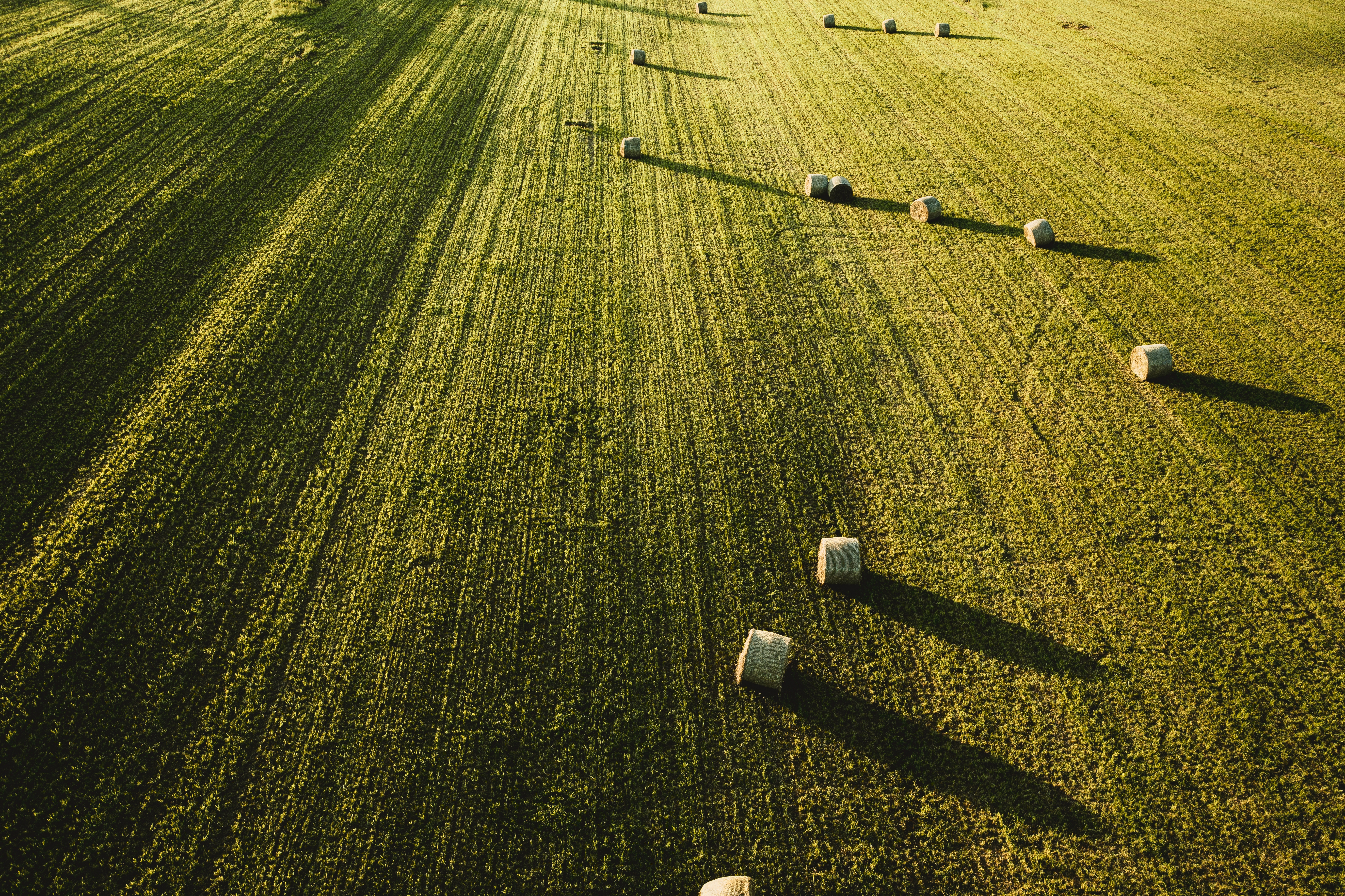 large-beautiful-agricultural-field-with-stacks-hay-shot-from.jpg