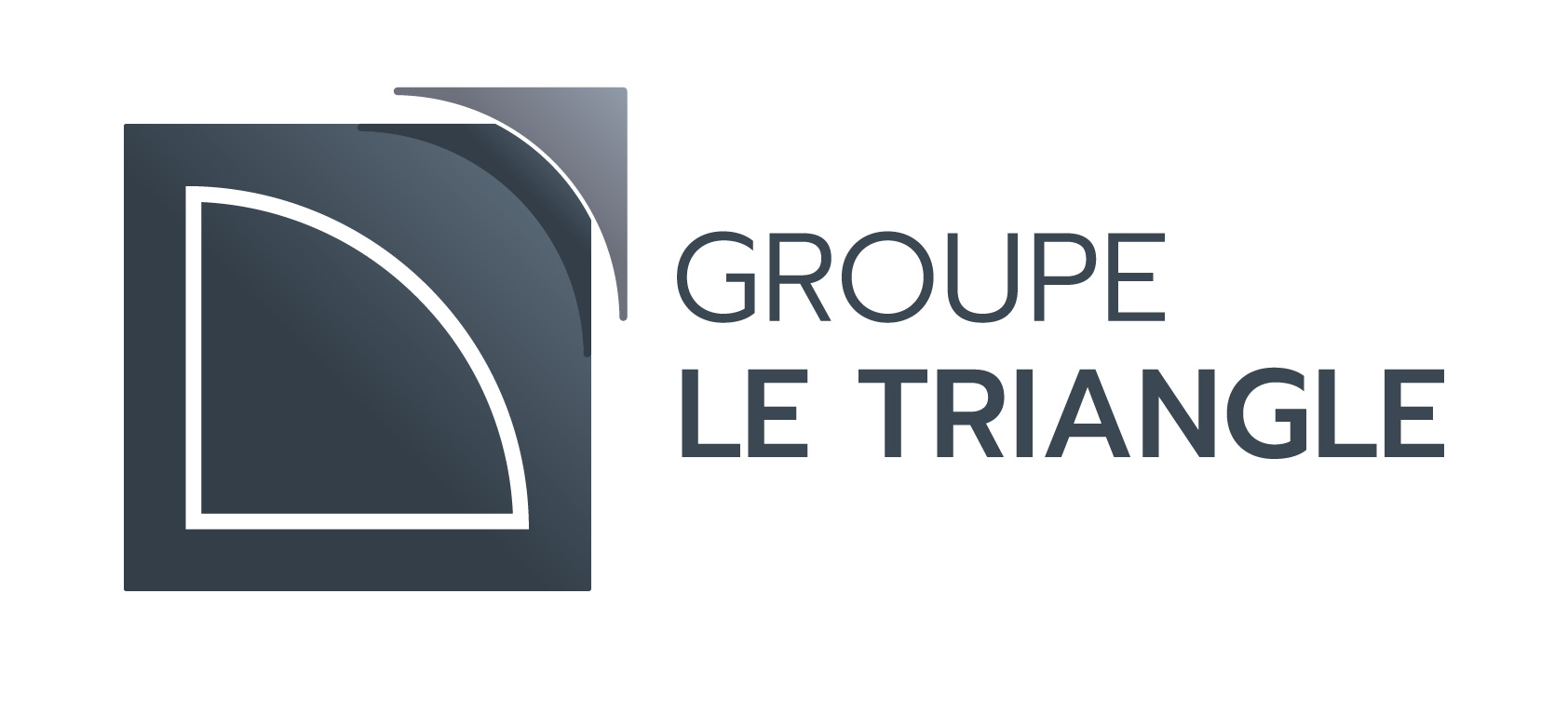 Groupe le Triangle - Logotype 2017 - RVB.jpg