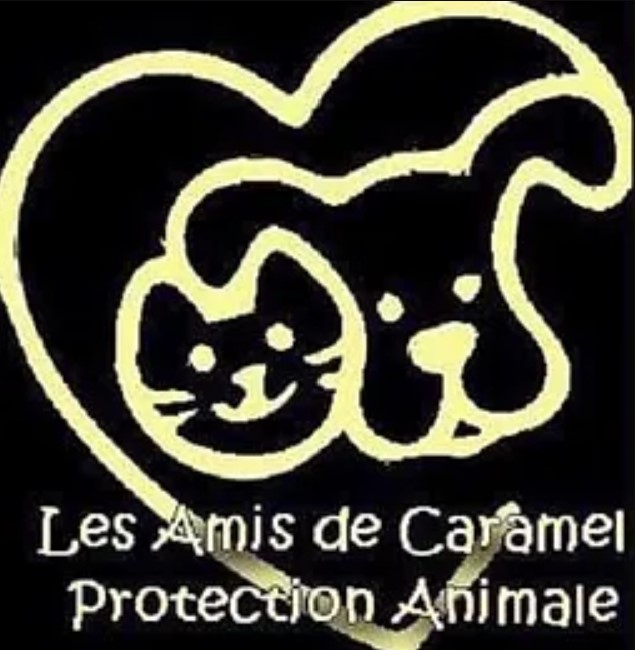 amis2caramel.jpg