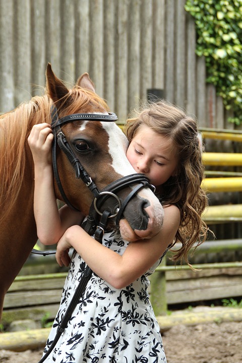 pony-2595144_960_720.jpg