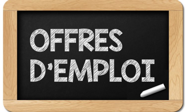 OFFRE-D-EMPLOI.jpg