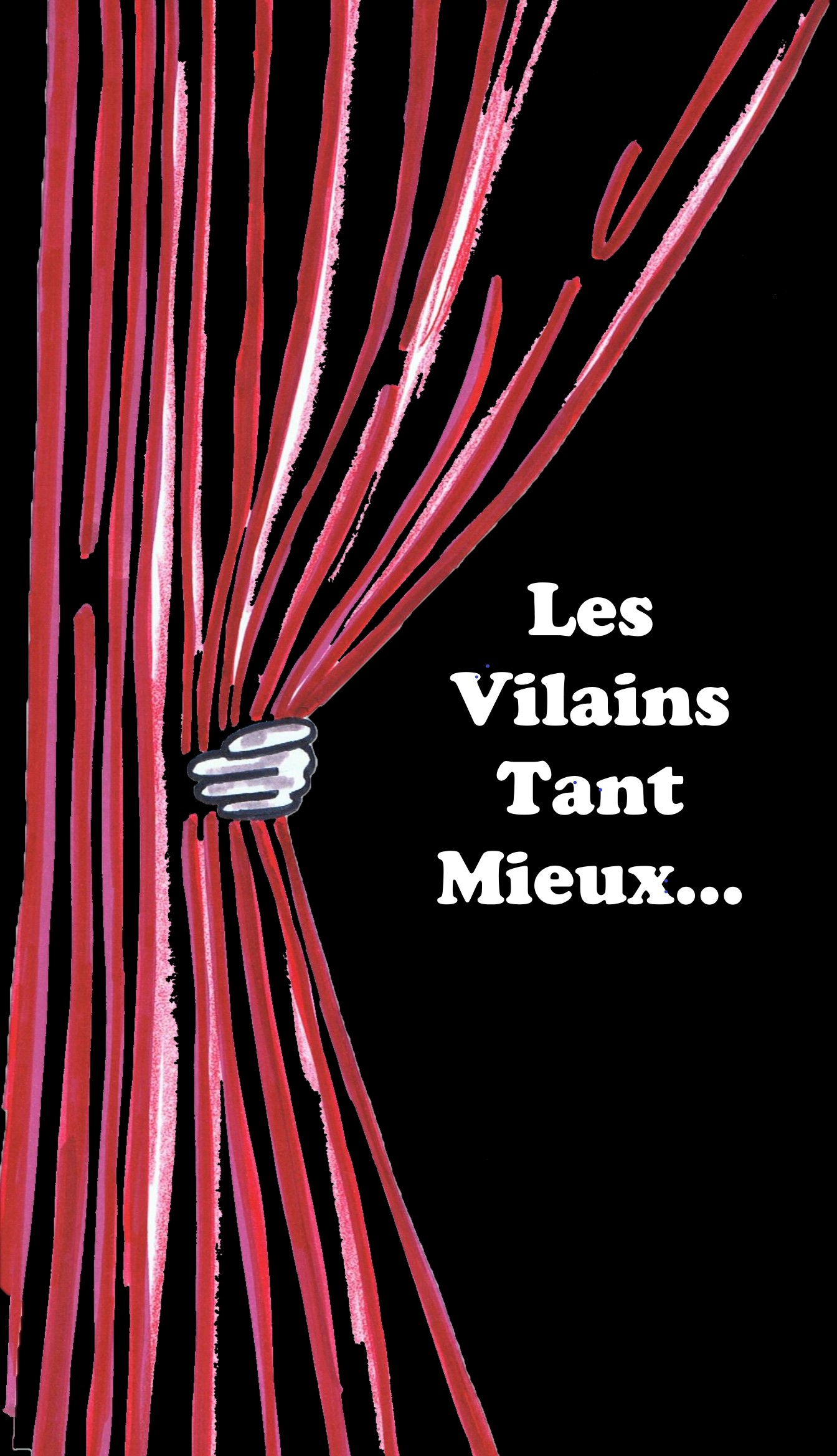 logo vilains.jpg