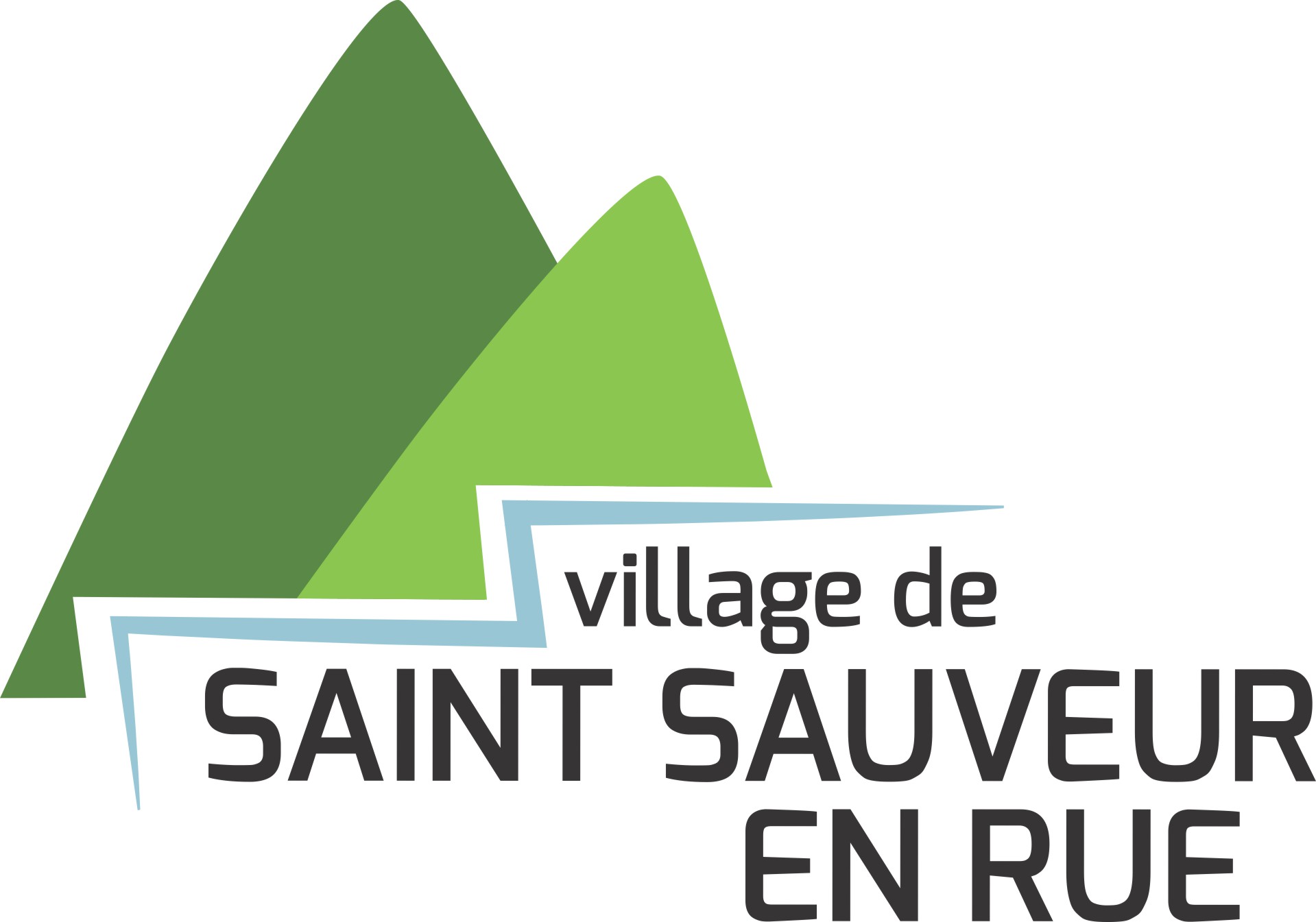 Logo st sauveur