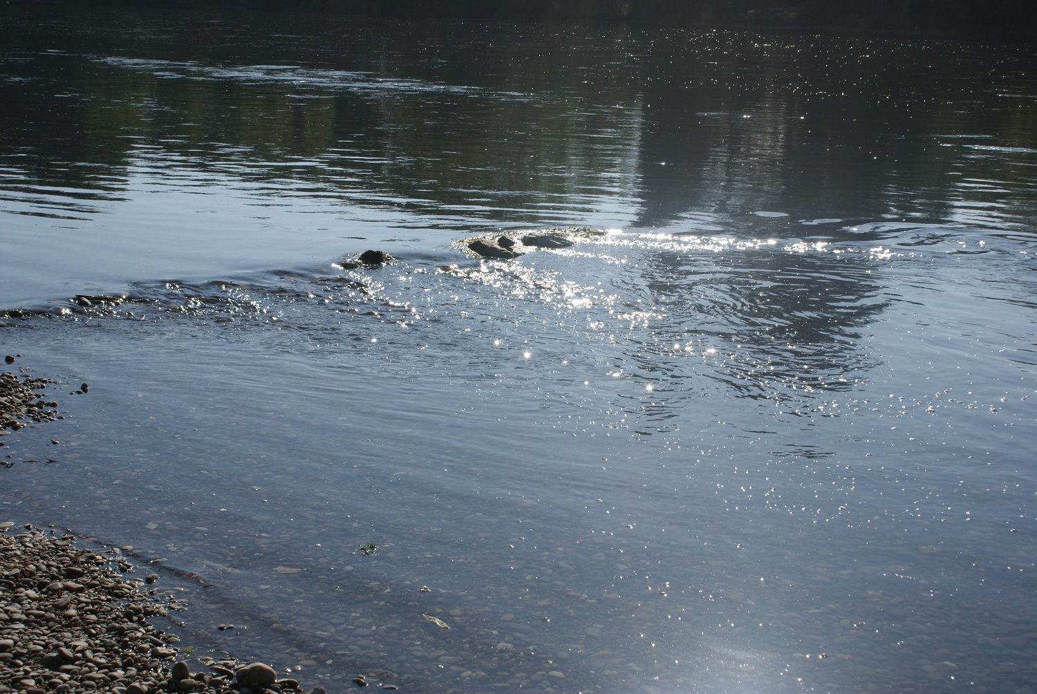 DSC00797-P.jpg