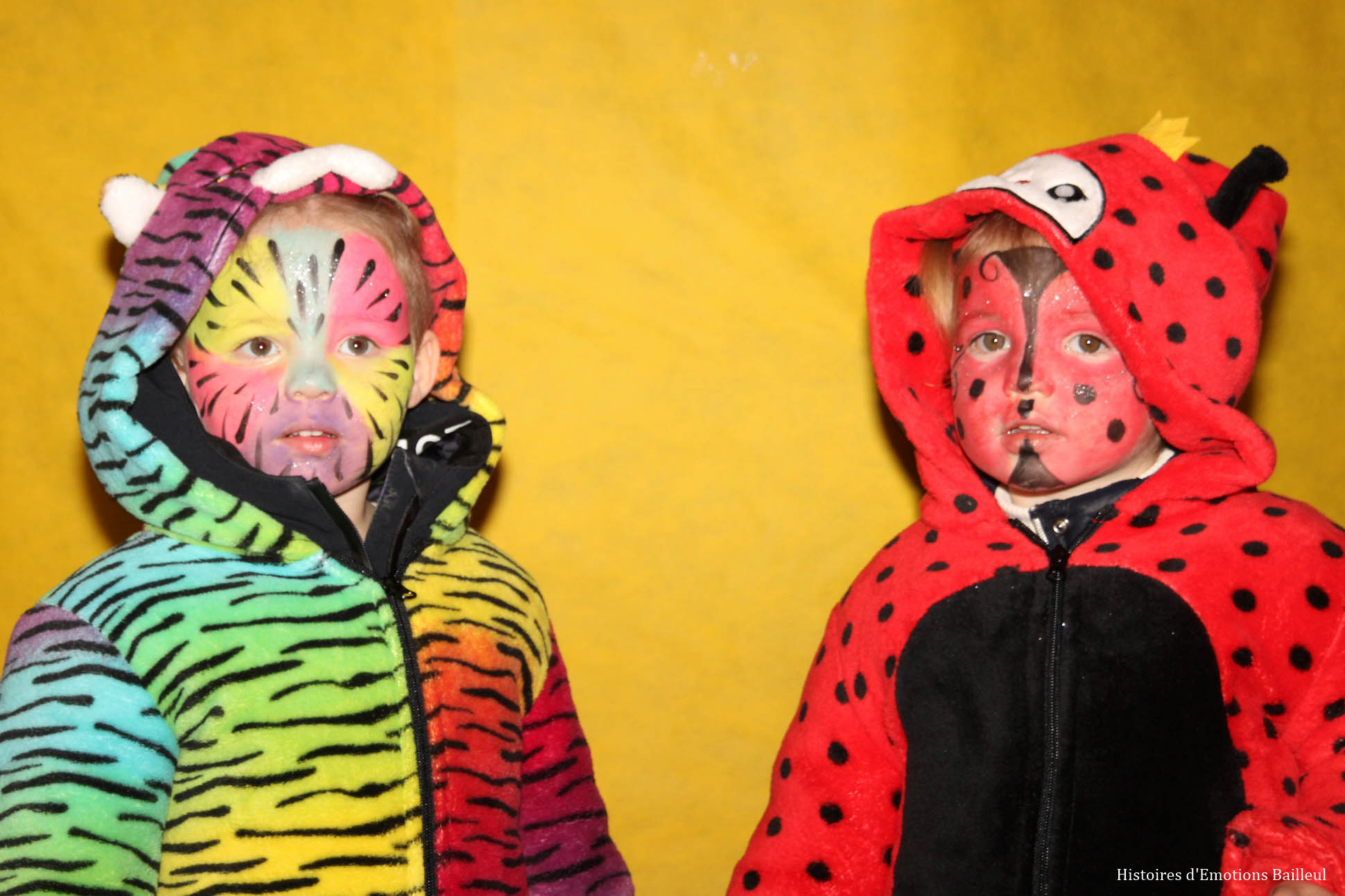 Commune de Godewaersvelde