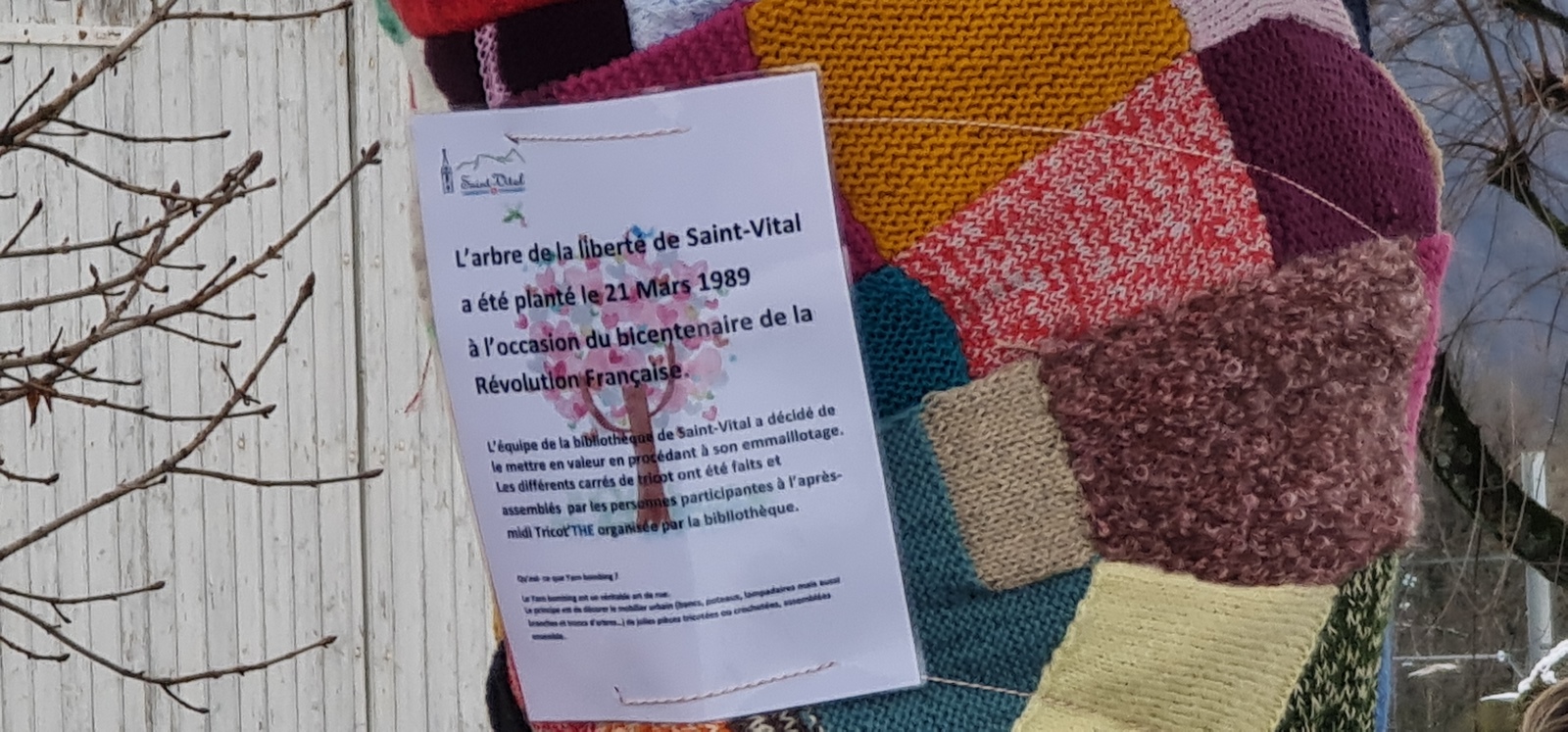 20231202_114544 _Copier_.jpg