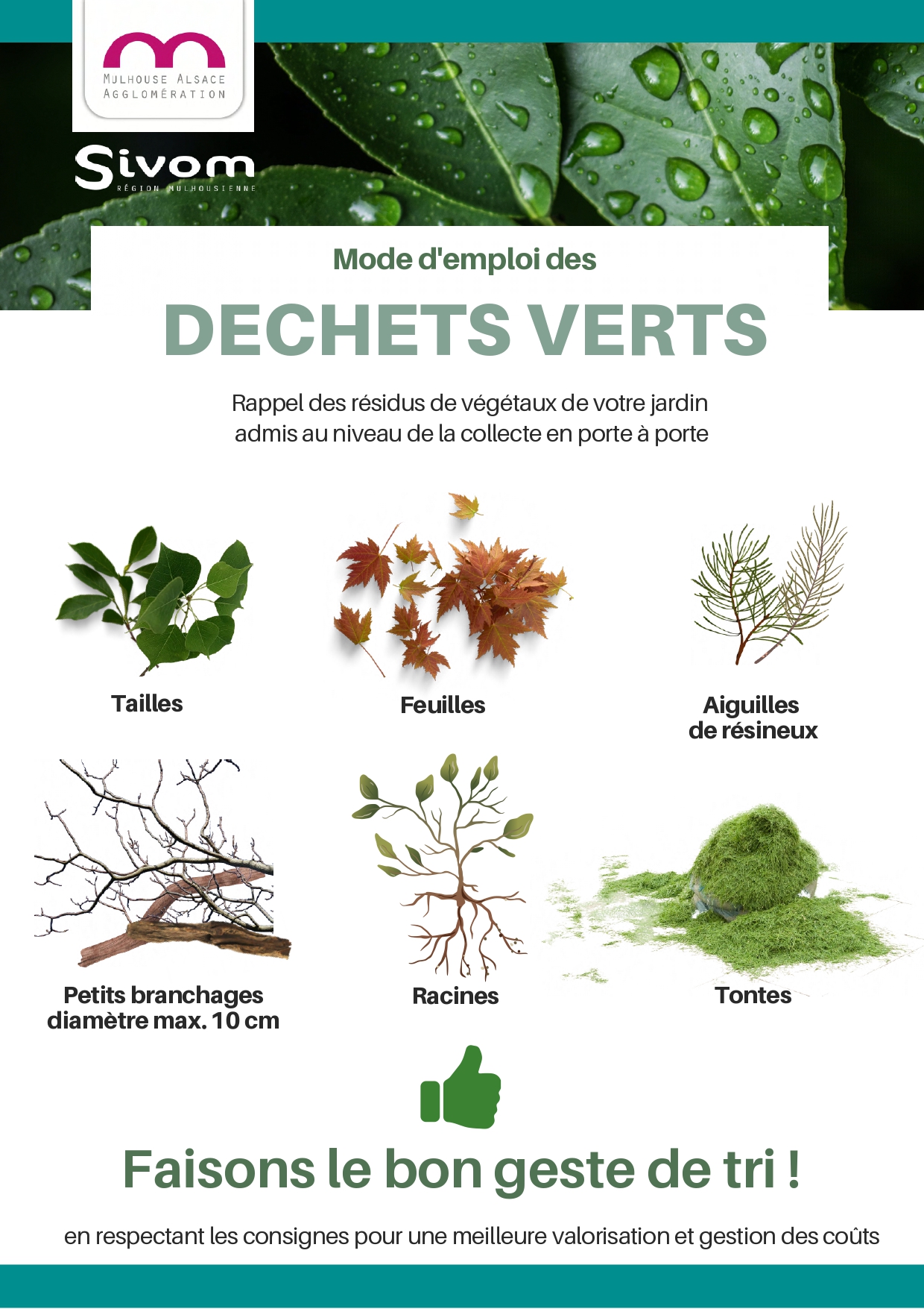 Flyer déchets Verts_pages-to-jpg-0001.jpg