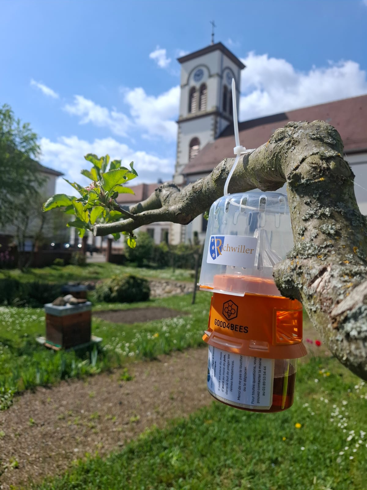 PHOTO-2026-04-15-09-53-21 3.jpg