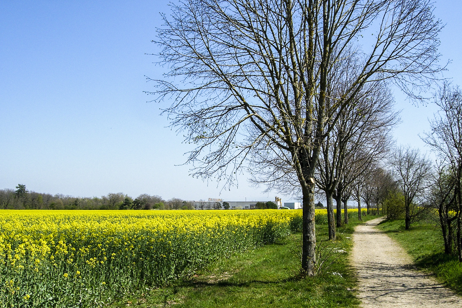 Chemin vers EHPAD Marc Simon _10_.jpeg