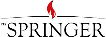 logo-ets-springer2-1.jpg