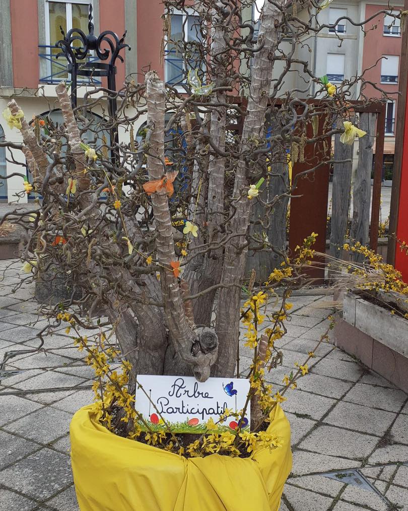 Arbre participatif.jpg