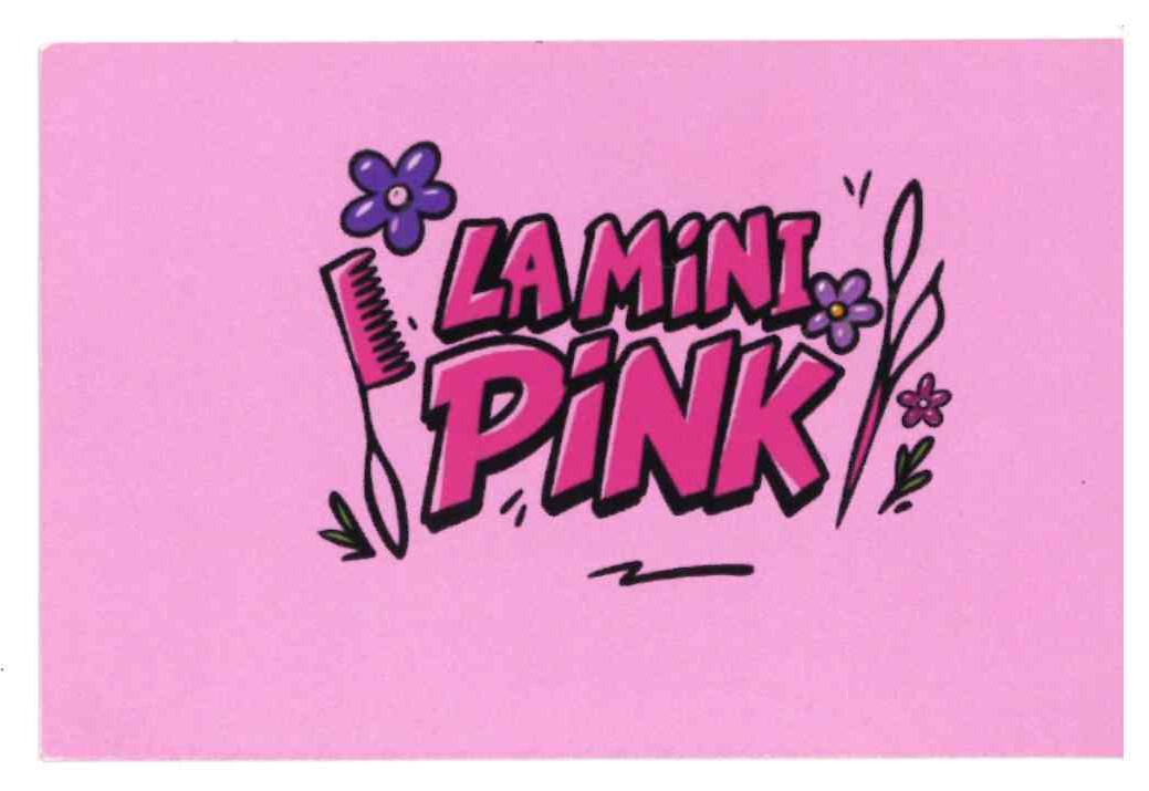LA MINI PINK RECTO.jpg