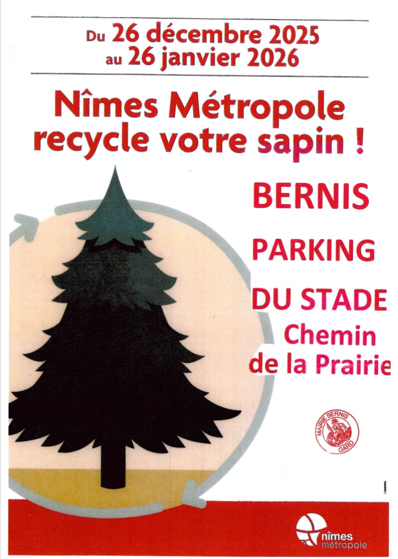 SAPIN  RECYGLAGE.jpg