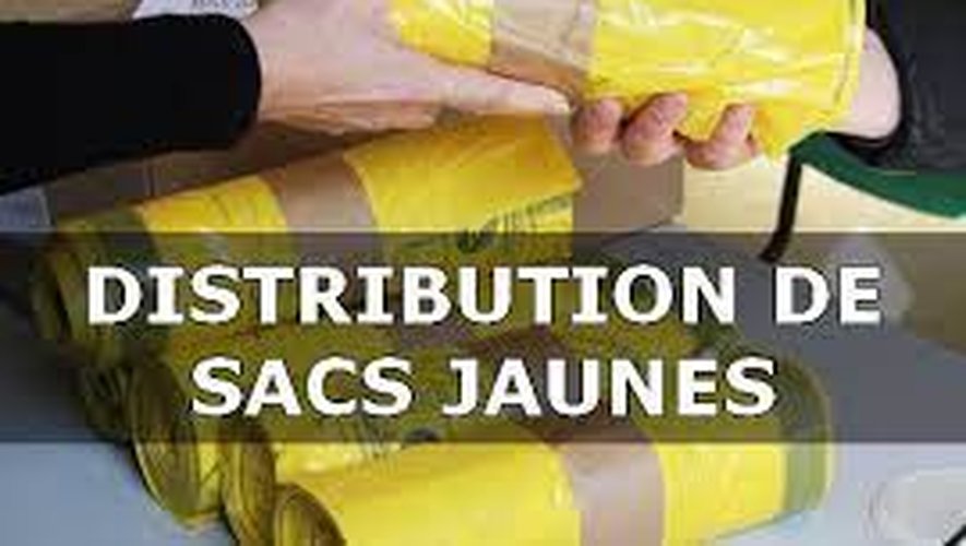 sac jaune.jpg