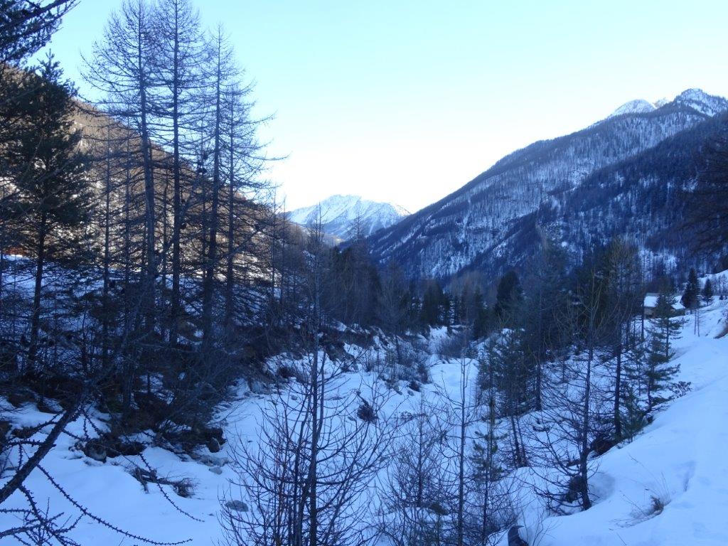 02-05-classe_de_neige_2025©E-Benabent _1_.jpg