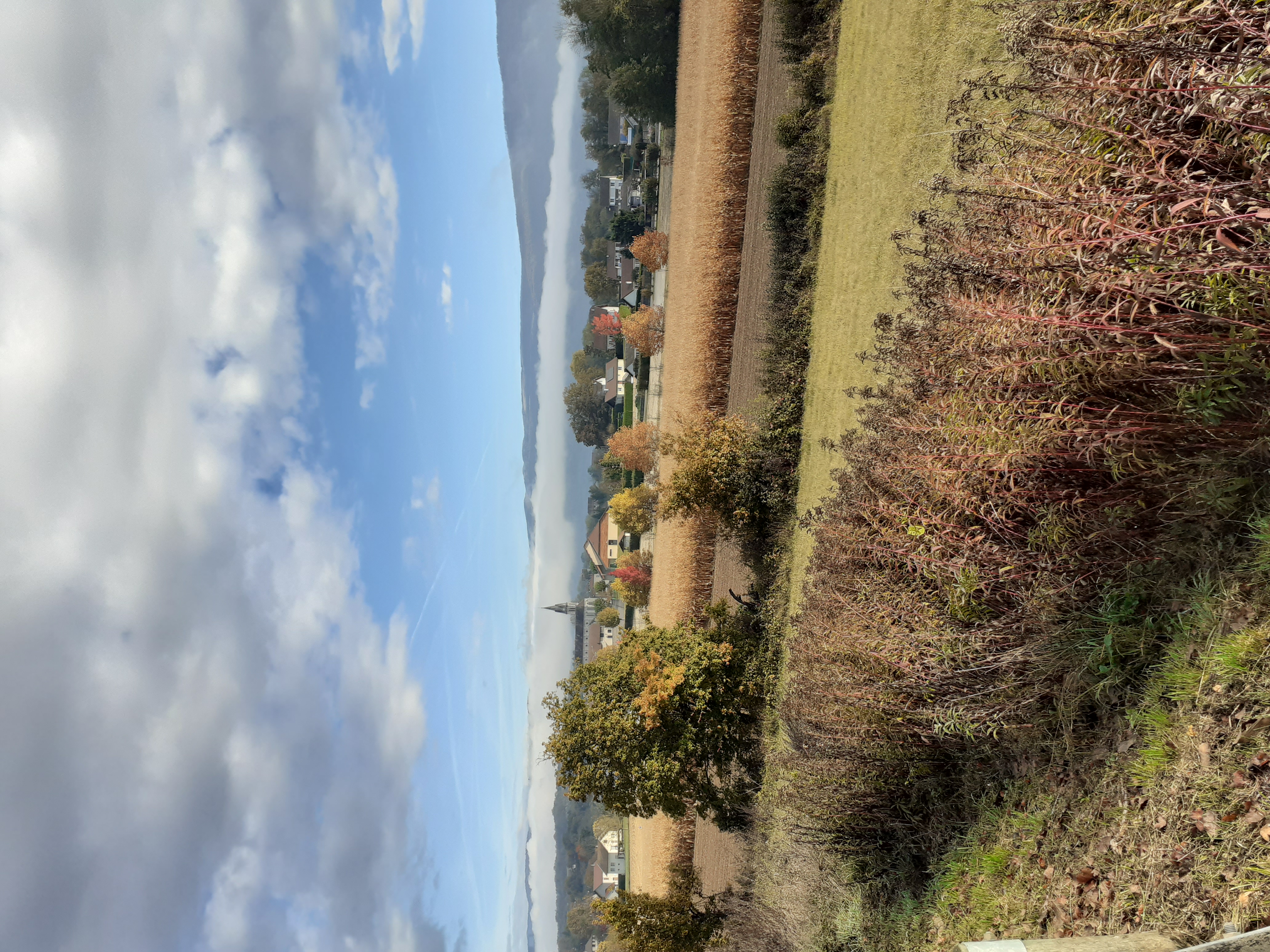 creys-en-automne©Gabriel_Gros.jpg
