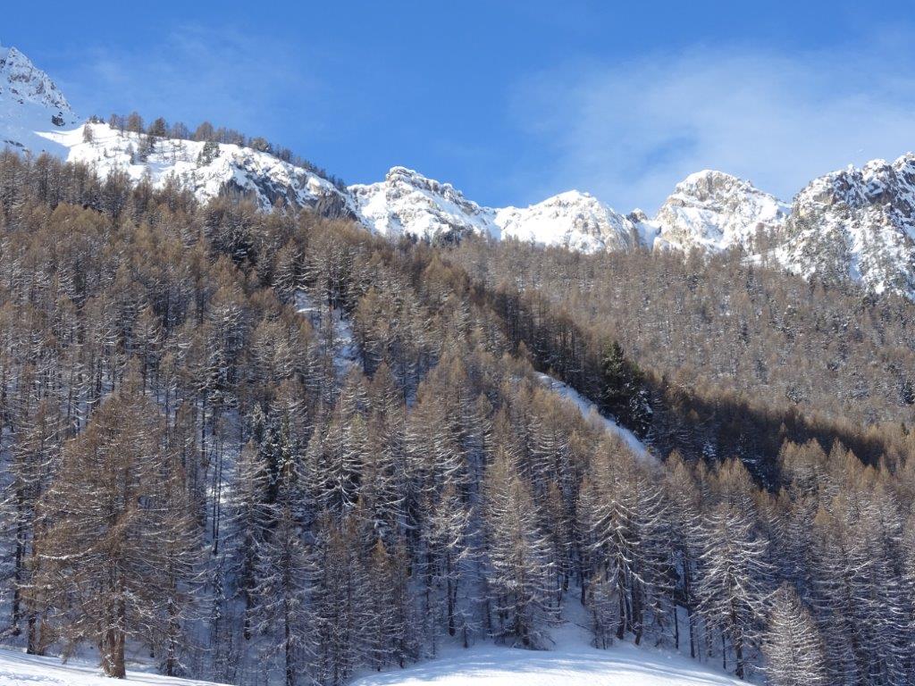 01-31_classe_de_neige_2025©E-Benabent _4_.jpg