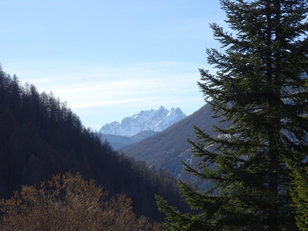 classe_de_neige-2024-2024-02-04©E-Benabent _6_.jpg