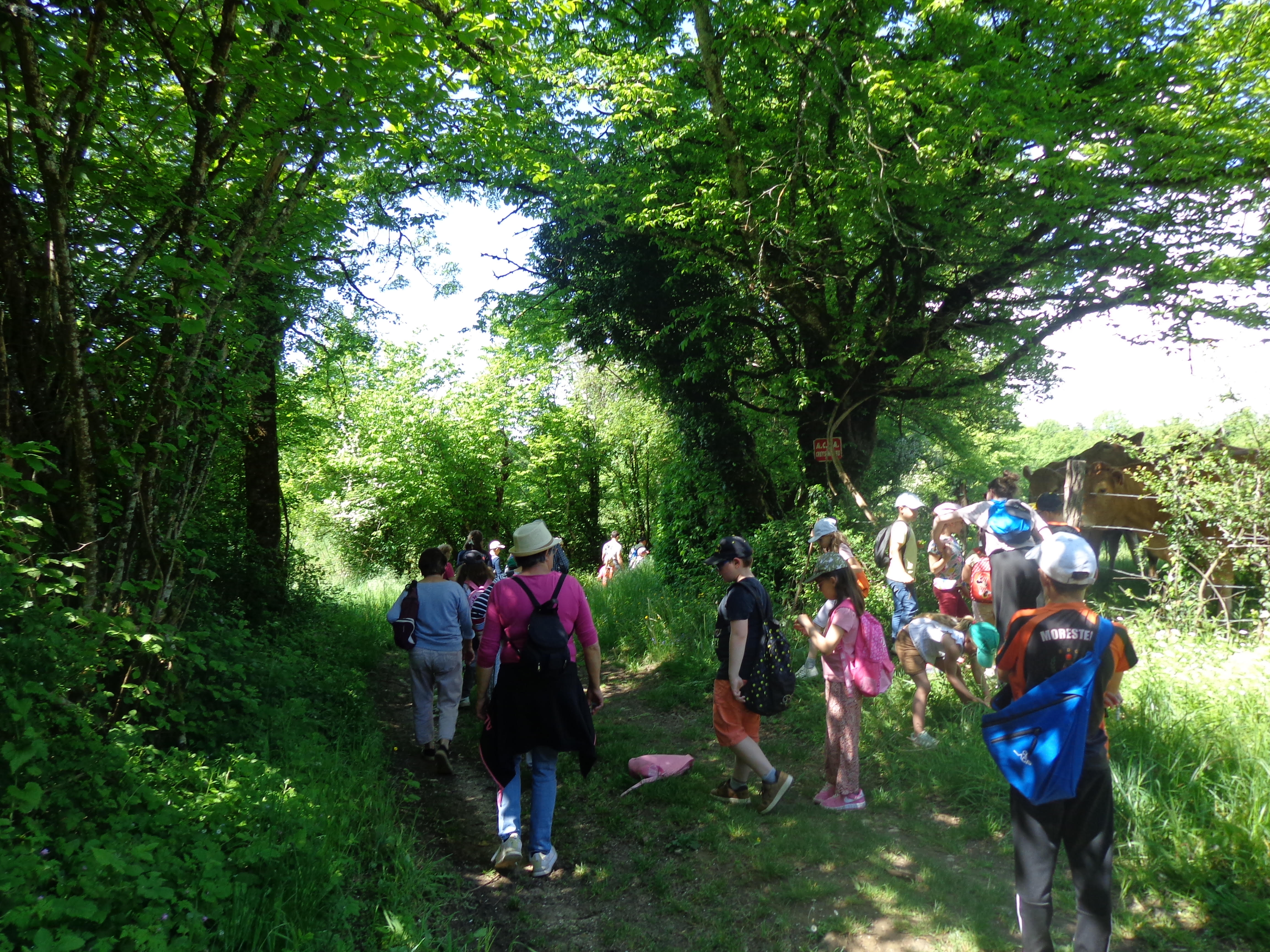 2025_Club des Toujours Jeunes de Creys Mépieu_rando avec le centre de loisirs©C-Berger _2_.jpg