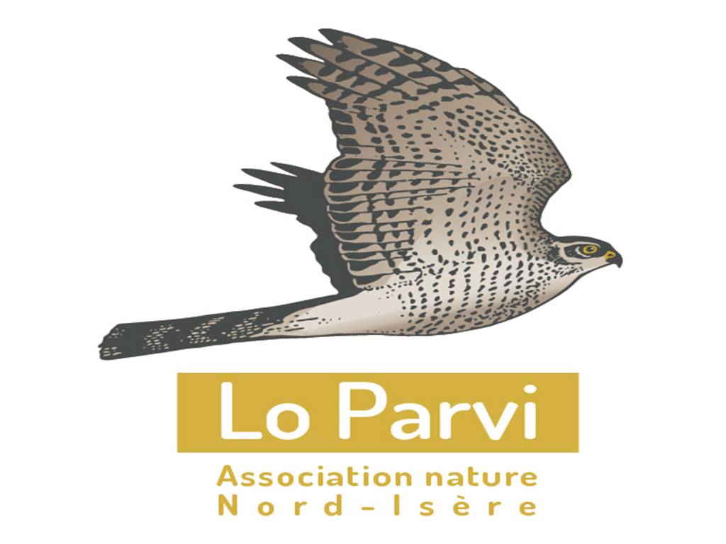 logo-lo-parvi.jpg