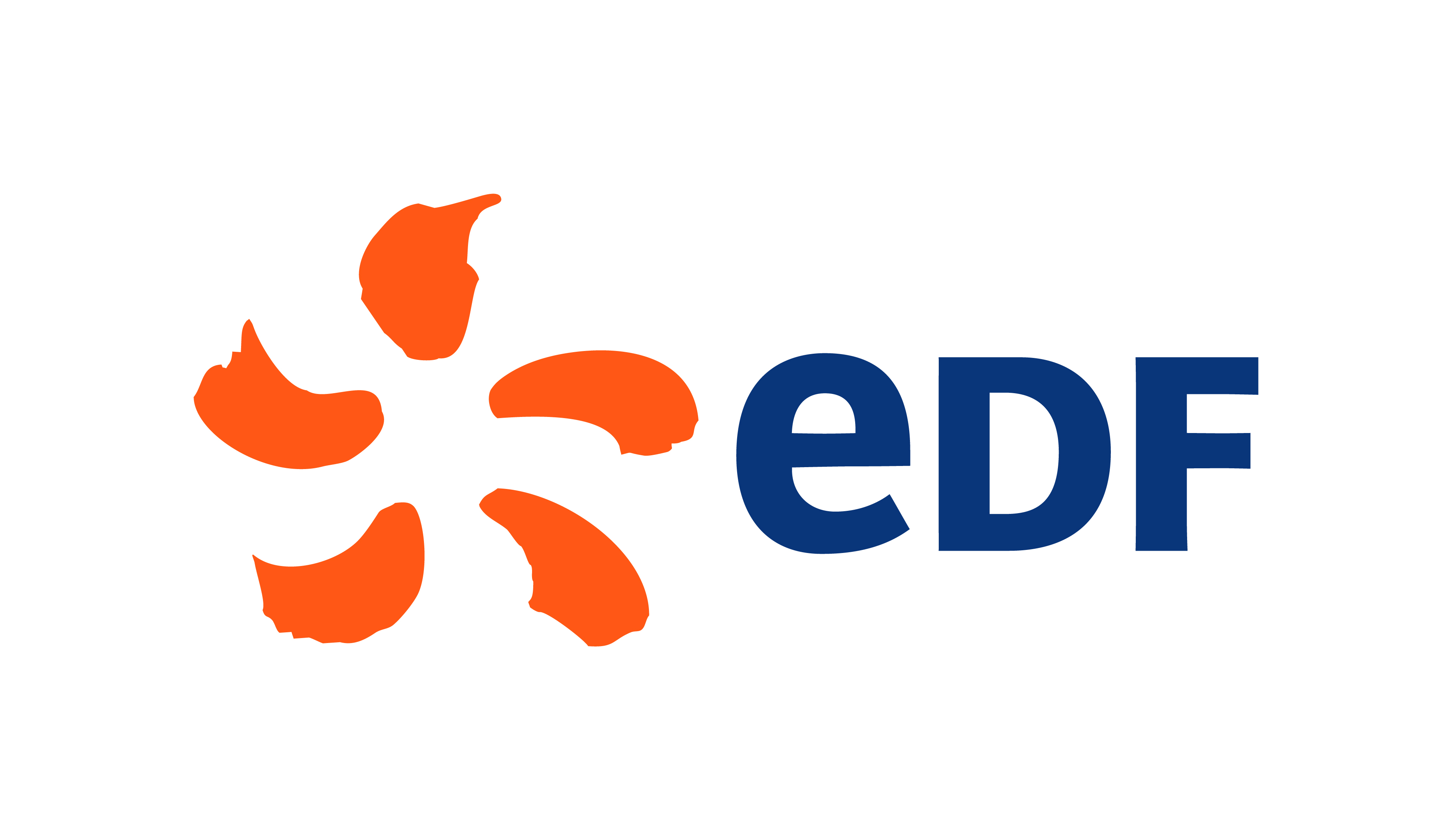 logo_EDF_RVB.jpg