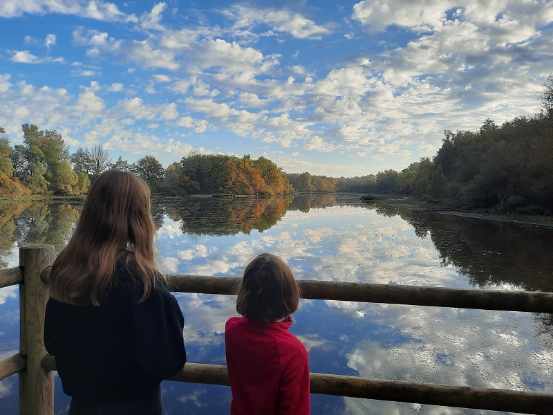 etang_barral-nov-2022©SP _4_.jpg