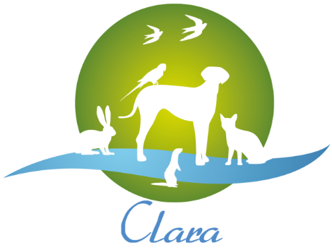 Logo CLARA.png